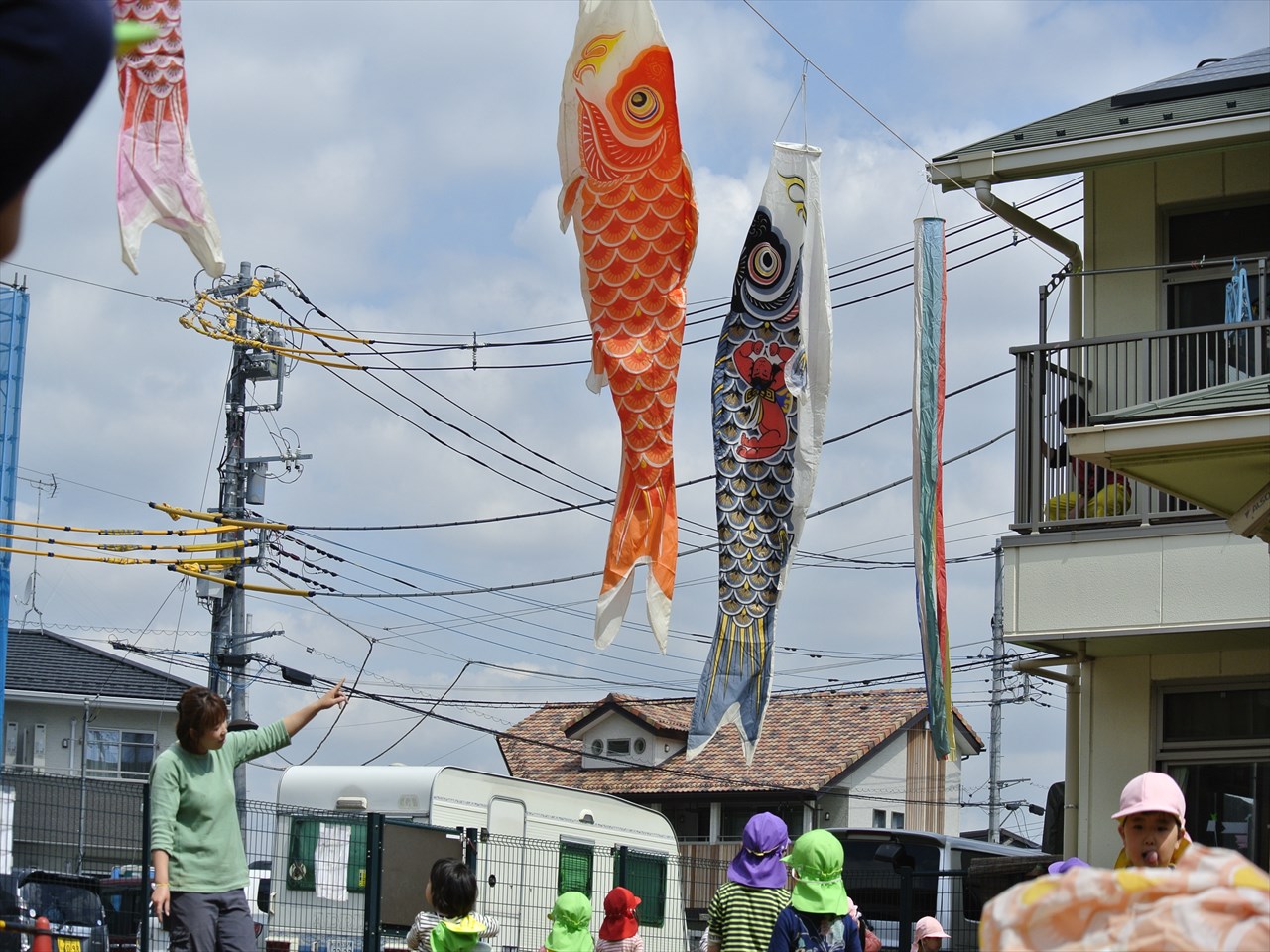 こいのぼり(゜))<<