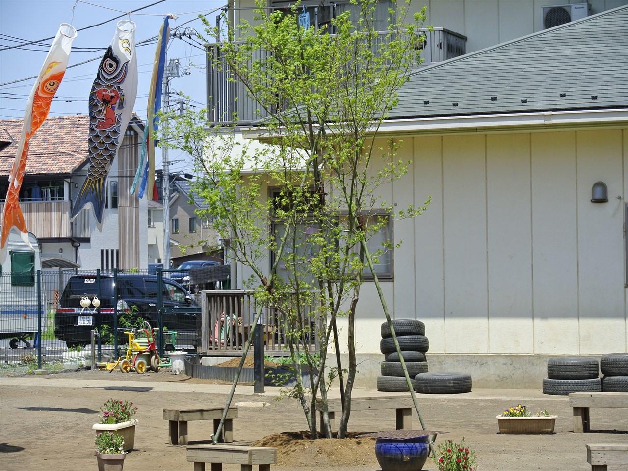 かえでの木がきました