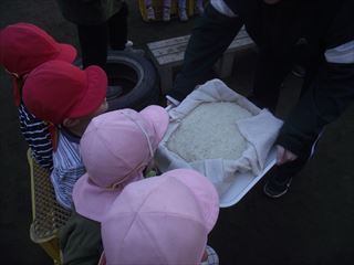 おもちつき